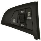 Cruise Control Switch