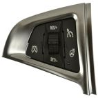 Cruise Control Switch