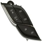 Cruise Control Switch