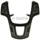 Cruise Control Switch