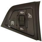 Cruise Control Switch
