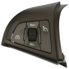 Cruise Control Switch