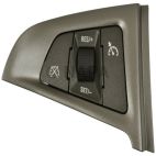 Cruise Control Switch