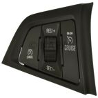 Cruise Control Switch
