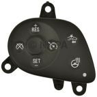 Cruise Control Switch