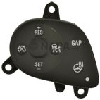 Cruise Control Switch