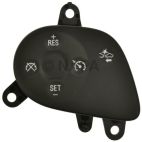 Cruise Control Switch
