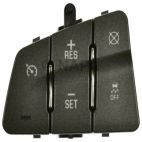 Cruise Control Switch