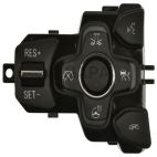 Cruise Control Switch
