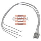 Brake / Tail / Turn Signal Light Connector