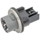 Turn Signal / Parking Light Socket and Wiring