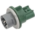 Turn Signal / Parking Light Socket and Wiring