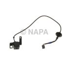 Park Assist Camera