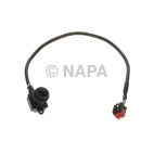 Park Assist Camera