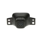 Park Assist Camera