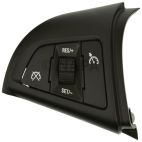 Cruise Control Switch