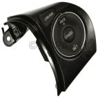 Cruise Control Switch