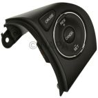 Cruise Control Switch