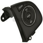 Cruise Control Switch