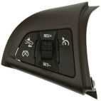 Cruise Control Switch