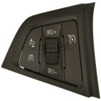 Cruise Control Switch