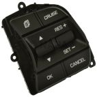 Cruise Control Switch