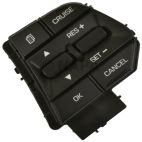 Cruise Control Switch