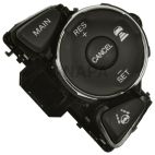 Cruise Control Switch