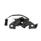 Hood Latch Assembly