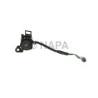 Park Assist Camera