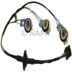 Brake / Tail / Turn Signal Light Connector