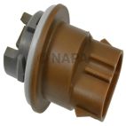 Brake Light Socket