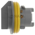 Combination Light Socket