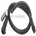 Engine Crankshaft Position Sensor