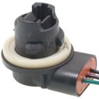 Combination Light Socket