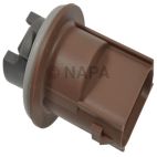Combination Light Socket
