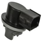 Combination Light Socket