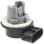 Combination Light Socket