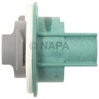 Back Up Light Socket