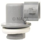 Combination Light Socket