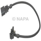 Engine Crankshaft Position Sensor
