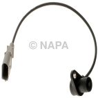 Engine Crankshaft Position Sensor
