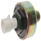 Ignition Knock (Detonation) Sensor