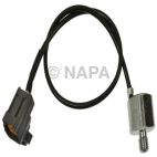Ignition Knock (Detonation) Sensor