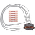 Electrical Connector