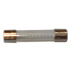 Waste Oil Maintenance - Fuse, Fast Acting - 8 A, 250 VAC, 6.3 MM x 32 MM