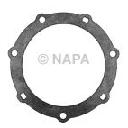 Exhaust Pipe Flange Gasket
