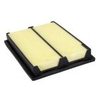 Engine Air Filter