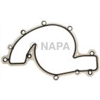 Engine Water Pump Gasket