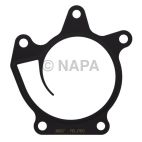 Engine Water Pump Gasket